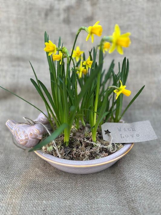 Ceramic Bird Bath Planter